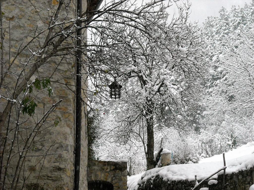 La Piazzetta Di Canale B&B Tenno Bagian luar foto